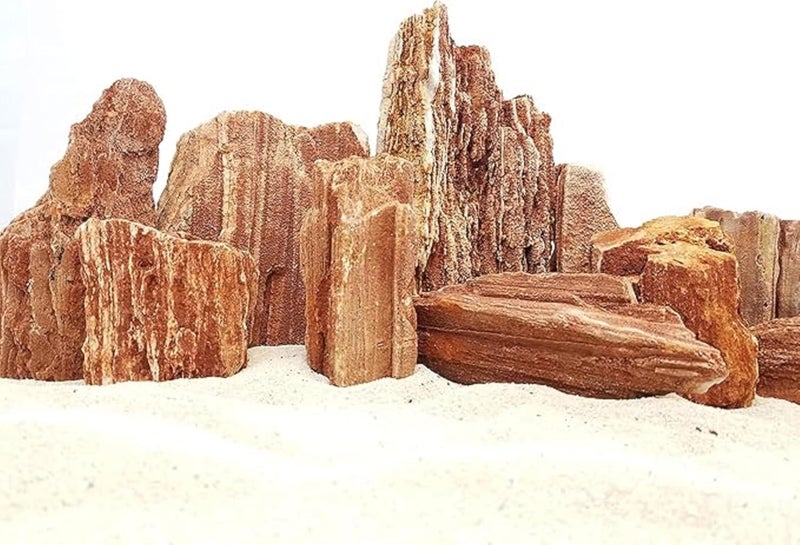 RUKDA Redwood Petrified Stone for Aquarium & Garden Decor – Aquascaping Rocks for Fish Tanks, Terrariums, Landscaping & Water Features – Unique Miniature Rock Formation Look (Redwood Rock, 1 Kg) - Image 4
