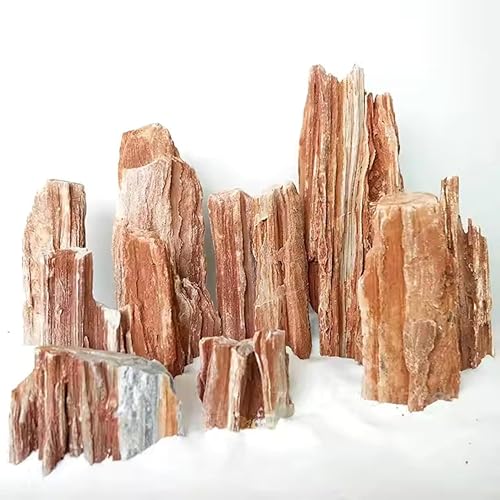 RUKDA Redwood Petrified Stone for Aquarium & Garden Decor – Aquascaping Rocks for Fish Tanks, Terrariums, Landscaping & Water Features – Unique Miniature Rock Formation Look (Redwood Rock, 1 Kg) - Image 1
