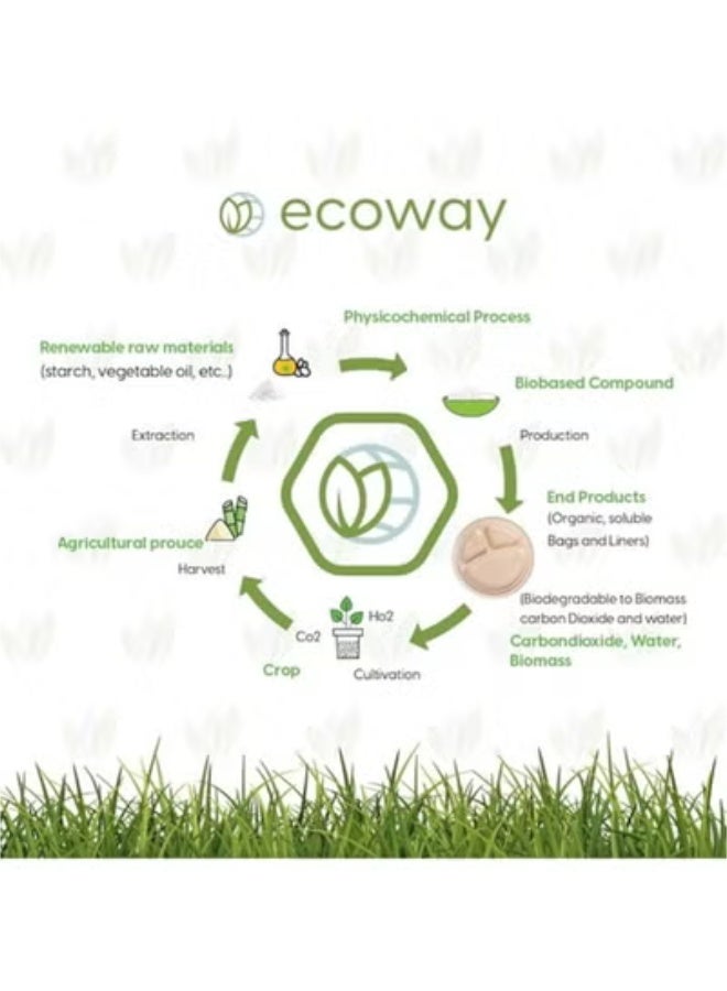 ECOWAY إيكواي [طبق دائري 10 بوصة 3 أقسام عبوة من 10] لون بني طبيعي - أطباق قابلة للتصرف مصنوعة من لب قصب السكر آمنة للاستخدام في الميكروويف والتجميد، قابلة للتحلل الحيوي وقابلة للتسميد، أدوات المائدة. - Image 2