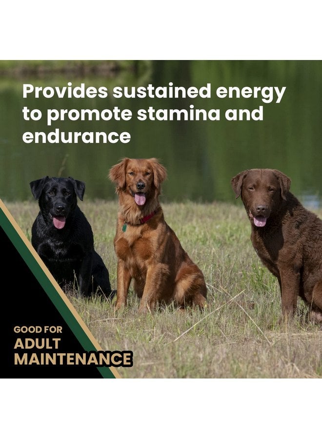 فيكتور طعام كلاب VICTOR Super Premium - طعام كلاب جاف عالي الأداء - 26% بروتين للكلاب البالغة النشطة - يحتوي على الجلوكوزامين والكوندرويتين لصحة الورك والمفاصل، 5 أرطال - Image 4