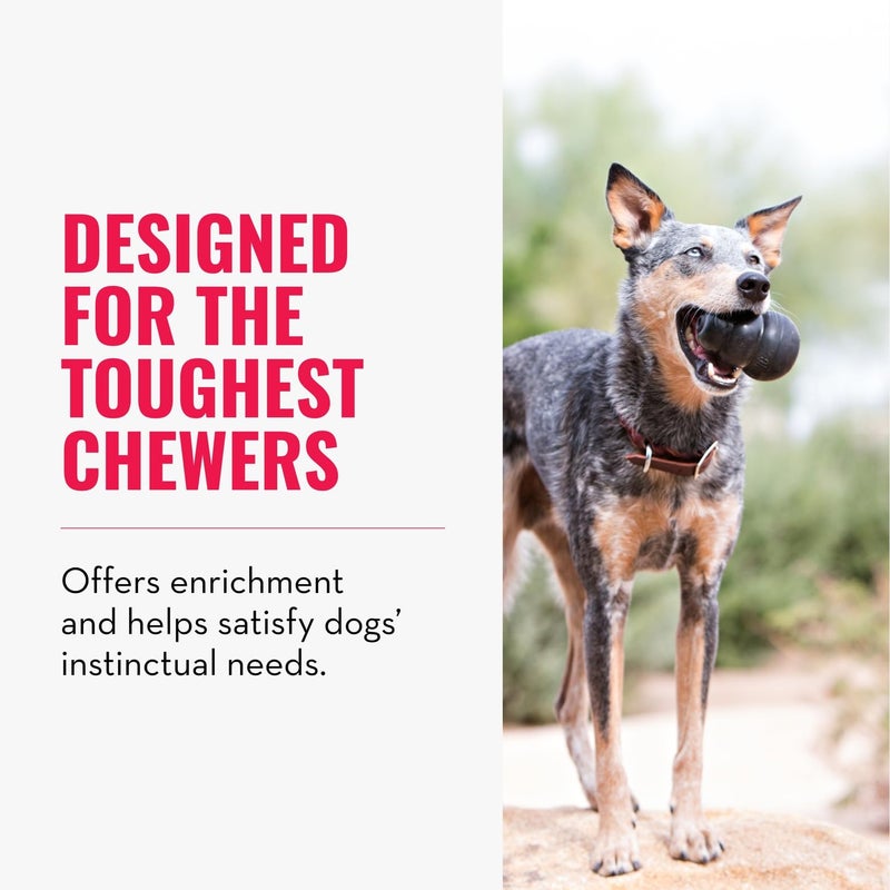 KONG Extreme Dog Toy - Fetch & Chew Toy - Treat-Filling Capabilities & Erratic Bounce for Extended Play Time Most Durable Natural Rubber Material - for Power Chewers - for Large Dogs - Image 3