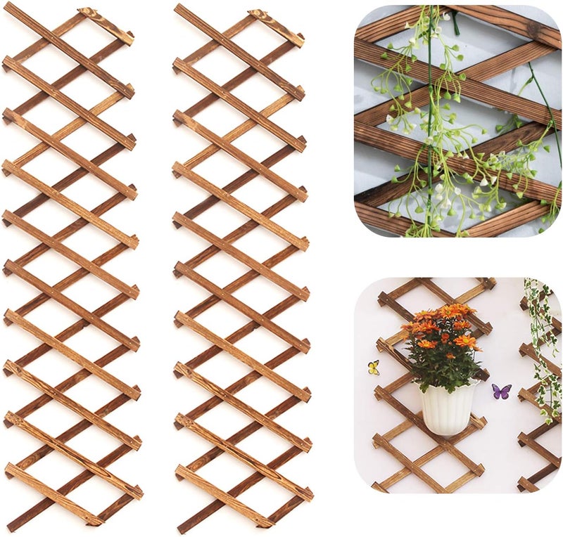 Iceyyyy Wood Lattice Wall Planter - 2Pack Expandable Hanging Wooden Planter Trellis Frame, Indoor Air Plant Vertical Rack Wall Decor for Room Garden - Image 1