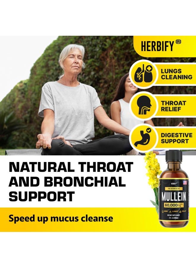 HERBIFY مستخلص المولين 2 أونصة صبغة لصحة الجهاز التنفسي، مزيج أوراق وزهور المولين (Verbascum Densiflorum) - Image 4