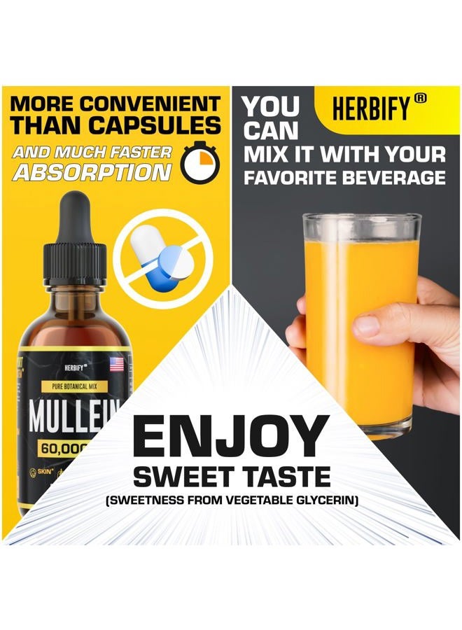 HERBIFY مستخلص المولين 2 أونصة صبغة لصحة الجهاز التنفسي، مزيج أوراق وزهور المولين (Verbascum Densiflorum) - Image 2