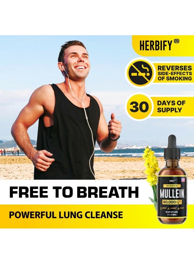 HERBIFY مستخلص المولين 2 أونصة صبغة لصحة الجهاز التنفسي، مزيج أوراق وزهور المولين (Verbascum Densiflorum) - Image 3