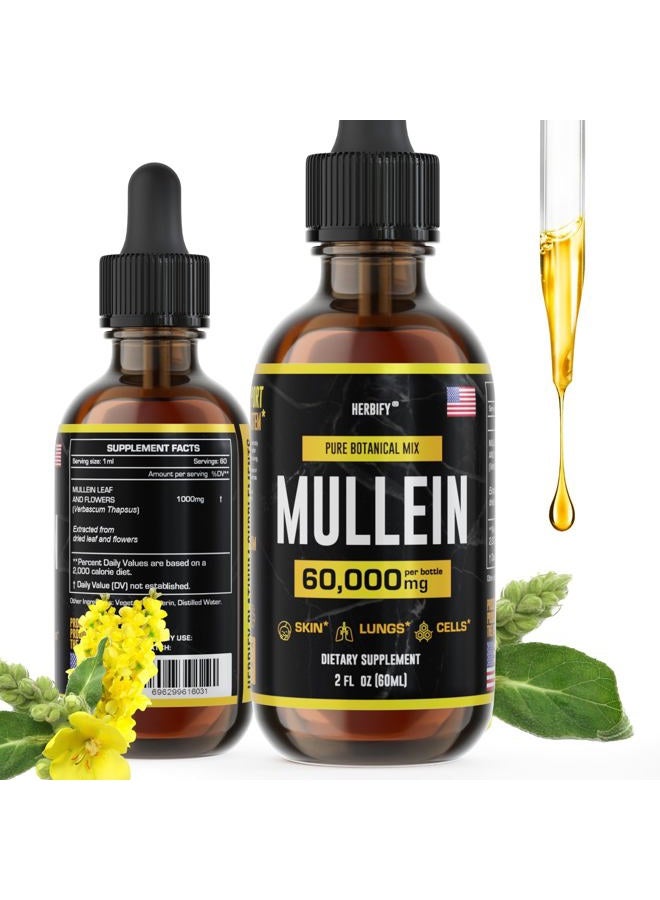 HERBIFY مستخلص المولين 2 أونصة صبغة لصحة الجهاز التنفسي، مزيج أوراق وزهور المولين (Verbascum Densiflorum) - Image 1