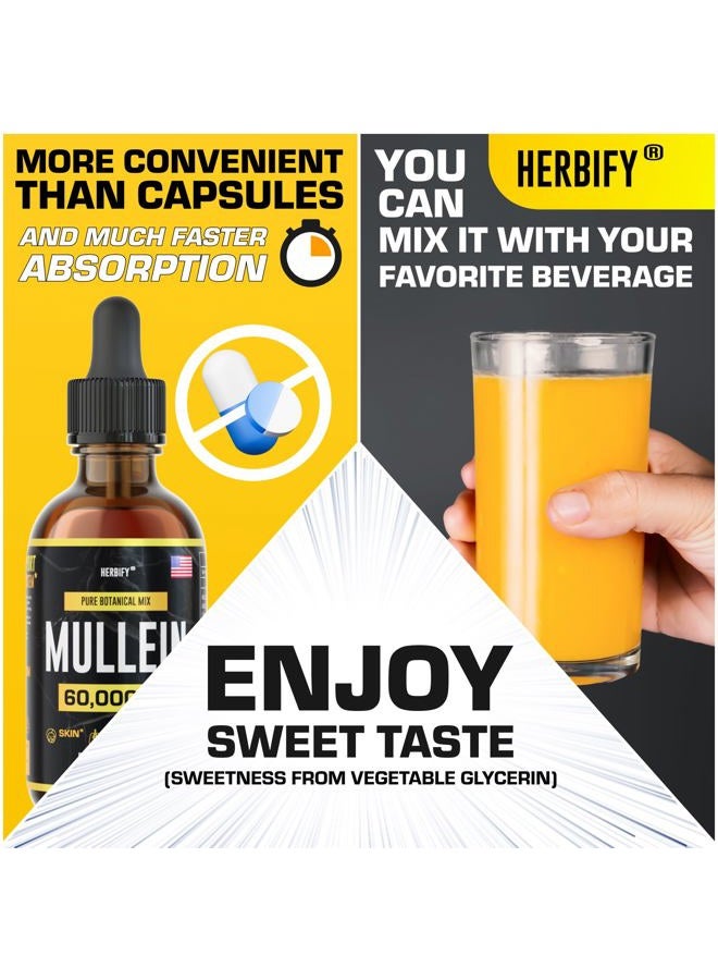 HERBIFY مستخلص المولين 2 أونصة صبغة لصحة الجهاز التنفسي، مزيج أوراق وزهور المولين (Verbascum Densiflorum) - Image 5