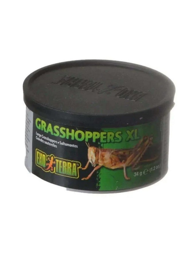 Exo Terra Specialty Reptile Food, Canned XL Grasshoppers for Reptiles, PT1952