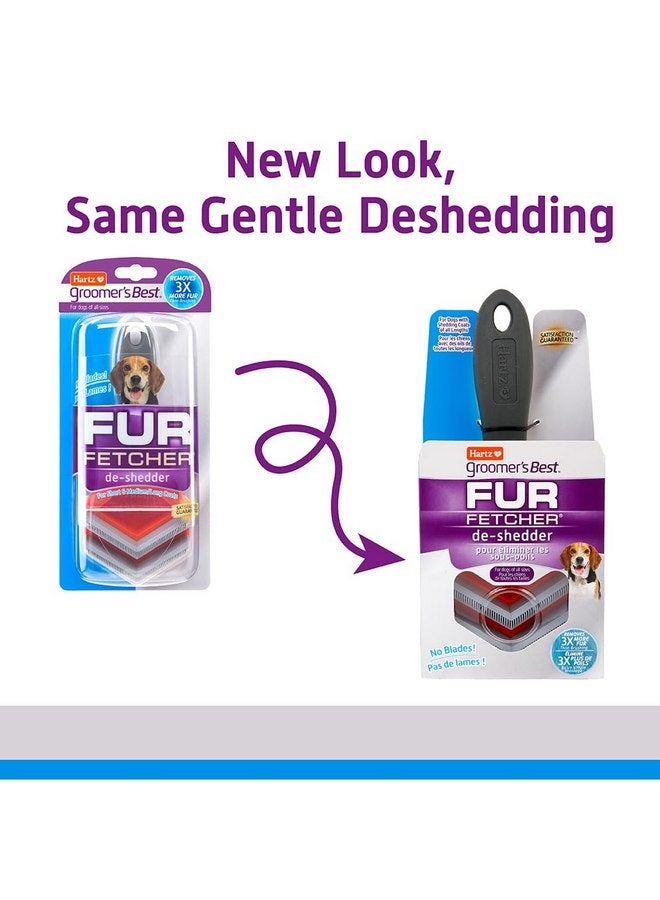 هارتز فرشاة إزالة الشعر الزائد من شعر الكلاب من Hartz Groomer's Best Fur Fetcher، باللون الأسود - Image 2