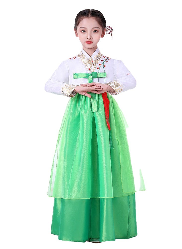 Al Aoyama - Al Aoyama Hanbok cotume for Girl Korean tradition Dress  Kids Hanbok Dol Baekil theme party costume - Image 1