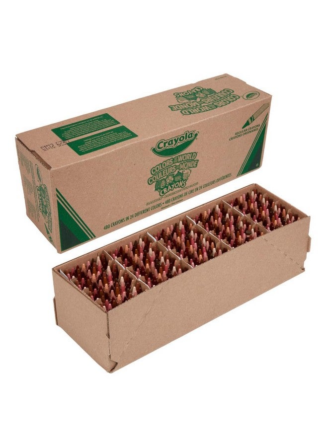 Crayola Colors of The World Bulk Crayon Classpack (480ct), 24 Skin Tone Crayon Colors, Classroom Supplies for Teachers, Ages 3+ - Image 1