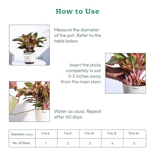 UGAOO Plant Food Fertilizer Bloom Sticks for All Flowering Plants Home Garden - Pack of 40 - Image 4