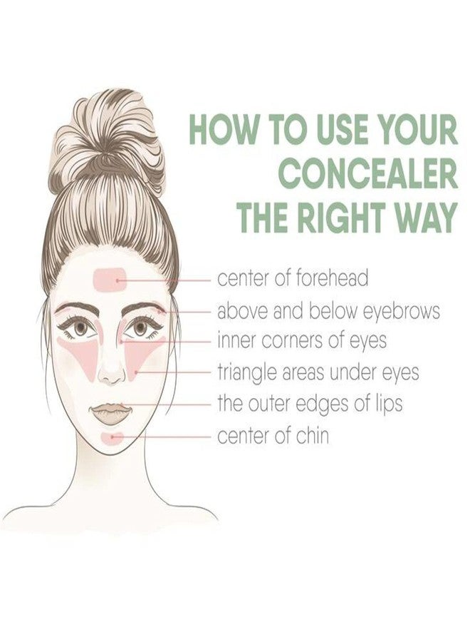 LELE Matte Finish 15 Colors Contour Face Cream Makeup Concealer Palette + Oval Make up Brush - Image 5