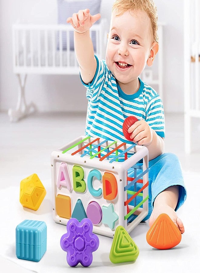 Lefan Baby Shape Sorting Toy Montessori Sensory Toys with Blocks Colorful Cube and Alphabets, Shape Sorting Toy with Elastic Bands Fine Motor Skill Toy, Preschool Learning Toys (RECTANGLE-14+1) - Image 5