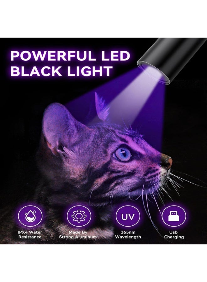 UV Black Light Flashlight, 365nm Portable Handheld Blacklight Flashlights, Mini Ultraviolet Flashlight for Pet Fungus Detection, Cat Ringworm, Doctor Pet Urine Detector - Image 2