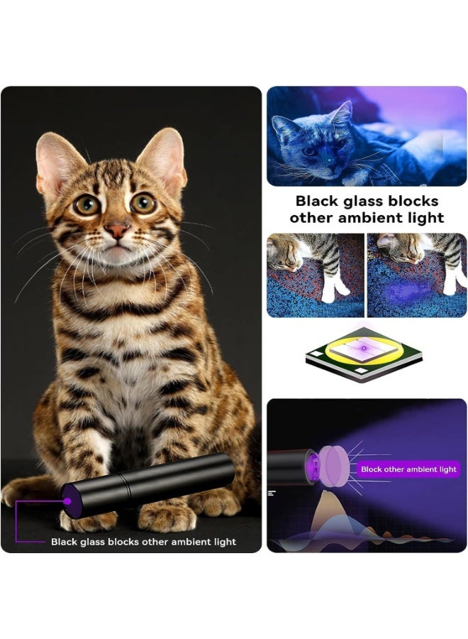 UV Black Light Flashlight, 365nm Portable Handheld Blacklight Flashlights, Mini Ultraviolet Flashlight for Pet Fungus Detection, Cat Ringworm, Doctor Pet Urine Detector - Image 3