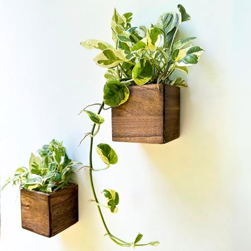 LáLáGreen LaLaGreen Wood Planter Box for Plants (4x4 Inch, 2 Pack) Small Square Wall Planters for Indoor Plant, Window Hanging Flower Pot Wooden Boxes for Table Centerpiece Herb Balcony Home Garden Office Decor - Image 1