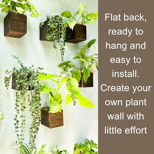 LáLáGreen LaLaGreen Wood Planter Box for Plants (4x4 Inch, 2 Pack) Small Square Wall Planters for Indoor Plant, Window Hanging Flower Pot Wooden Boxes for Table Centerpiece Herb Balcony Home Garden Office Decor - Image 5