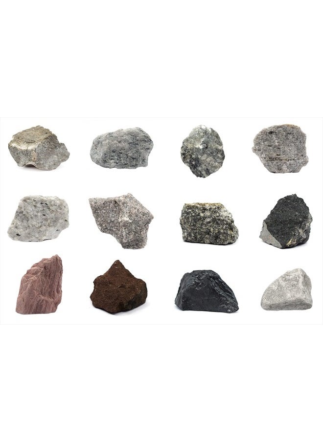 EISCO - Rock Cycle Kit, 12 Pieces - Includes Metamorphic, Igneous & Sedimentary Rocks - 1" Specimens - Fun Geology Activity for Exploring The Rock Cycle & Rock Types - Tech Cut Rocks - Image 1