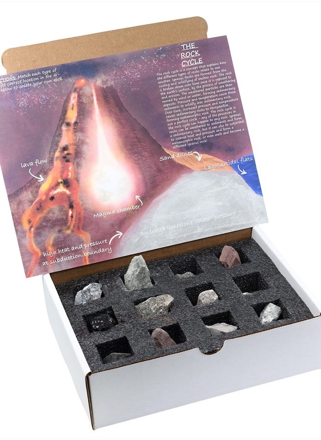 EISCO - Rock Cycle Kit, 12 Pieces - Includes Metamorphic, Igneous & Sedimentary Rocks - 1" Specimens - Fun Geology Activity for Exploring The Rock Cycle & Rock Types - Tech Cut Rocks - Image 1