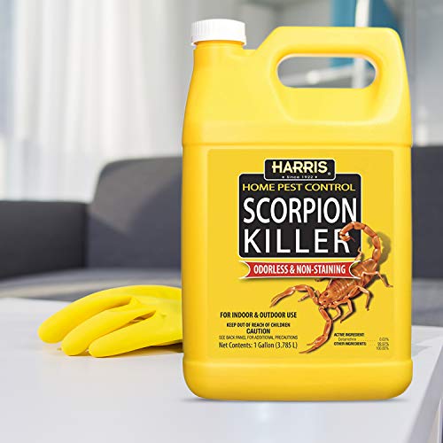 Harris Scorpion Killer, Liquid Spray with Odorless and Non-Staining Extended Residual Kill Formula (Gallon) 128 Fl Oz - Image 4