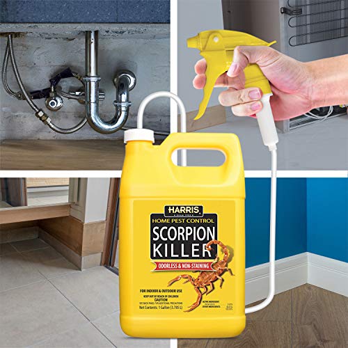 Harris Scorpion Killer, Liquid Spray with Odorless and Non-Staining Extended Residual Kill Formula (Gallon) 128 Fl Oz - Image 2
