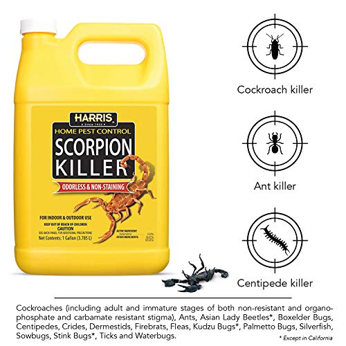 Harris Scorpion Killer, Liquid Spray with Odorless and Non-Staining Extended Residual Kill Formula (Gallon) 128 Fl Oz - Image 5