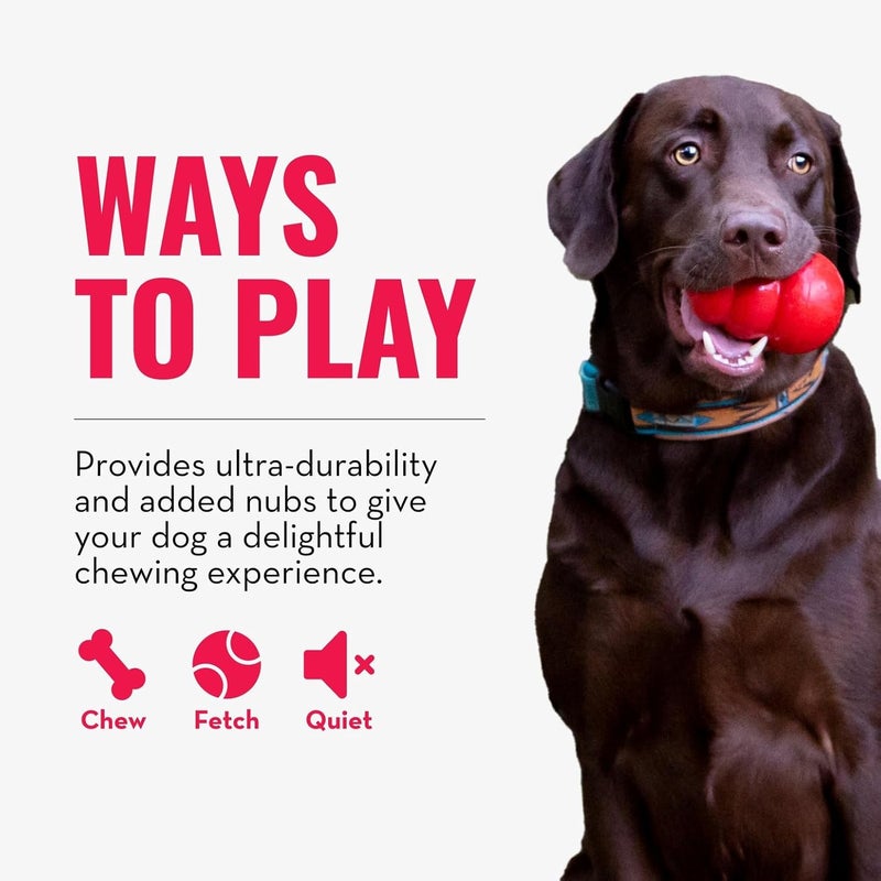 Kong User tested optimized build KONG - Ring - Durable Rubber Dog Chew Toy - For Small/Medium Dogs Elegant practical multi-option build - Image 4