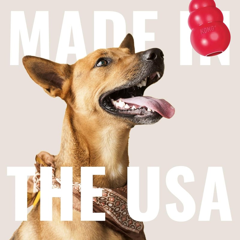 Kong User tested optimized build KONG - Ring - Durable Rubber Dog Chew Toy - For Small/Medium Dogs Elegant practical multi-option build - Image 5