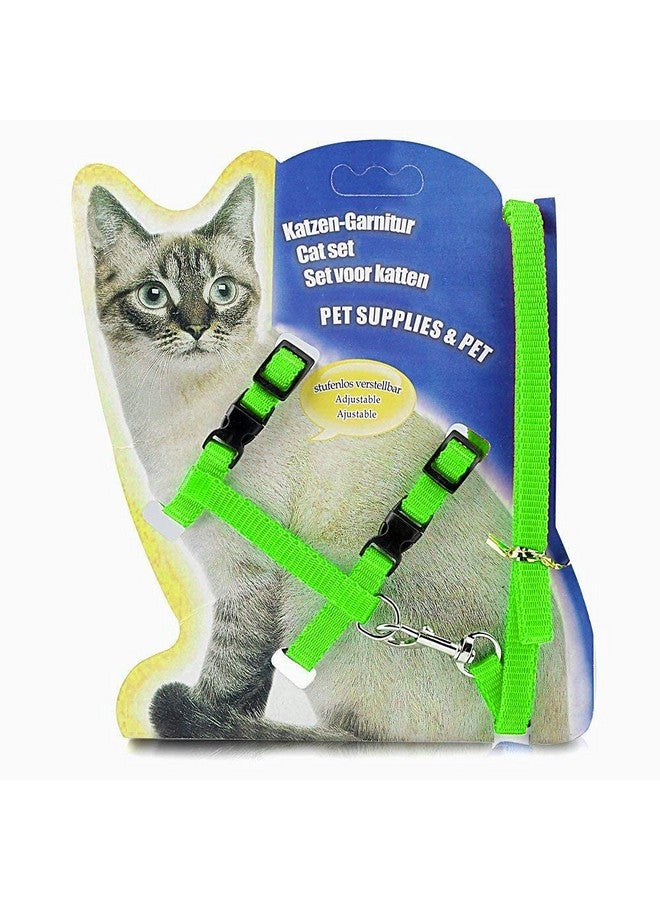 Nylon Harness Leash Set For Cat Kitten And Small Pet Nylon Harness Strap Collar | Cat Training Leash (Plain, Green) - Image 1
