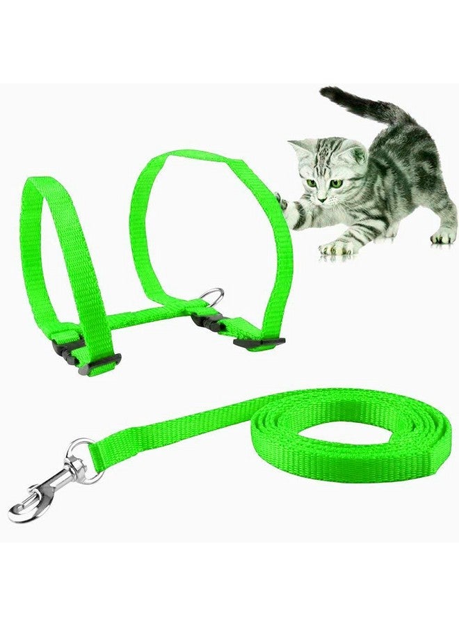 Nylon Harness Leash Set For Cat Kitten And Small Pet Nylon Harness Strap Collar | Cat Training Leash (Plain, Green) - Image 3