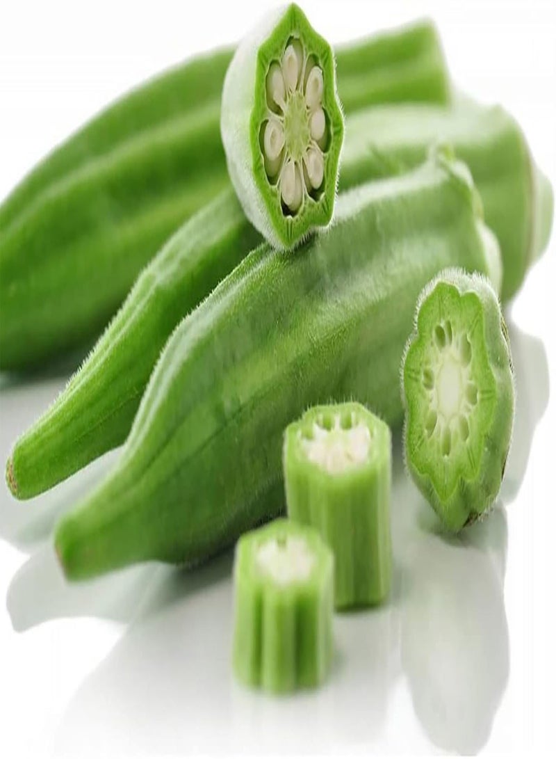 جي جوت عبوة من 100 قطعة من بذور البامية للحديقة المنزلية، نبات معمر سنوي من نوع ABEL Moschus، شتلات خضراوات للزراعة الخارجية، مقاس A واحد - Image 5