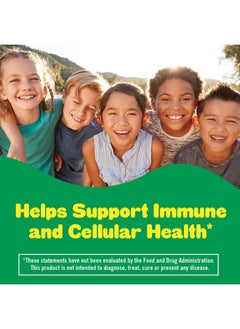 Lil Critters L’il Critters Immune C Daily Gummy Supplement Vitamin for Kids, for Vitamin C, D and Zinc for Immune Support, Orange, Lemon, Strawberry and Cherry Flavors, 190 Gummies (Packaging May Vary)  - Image 2
