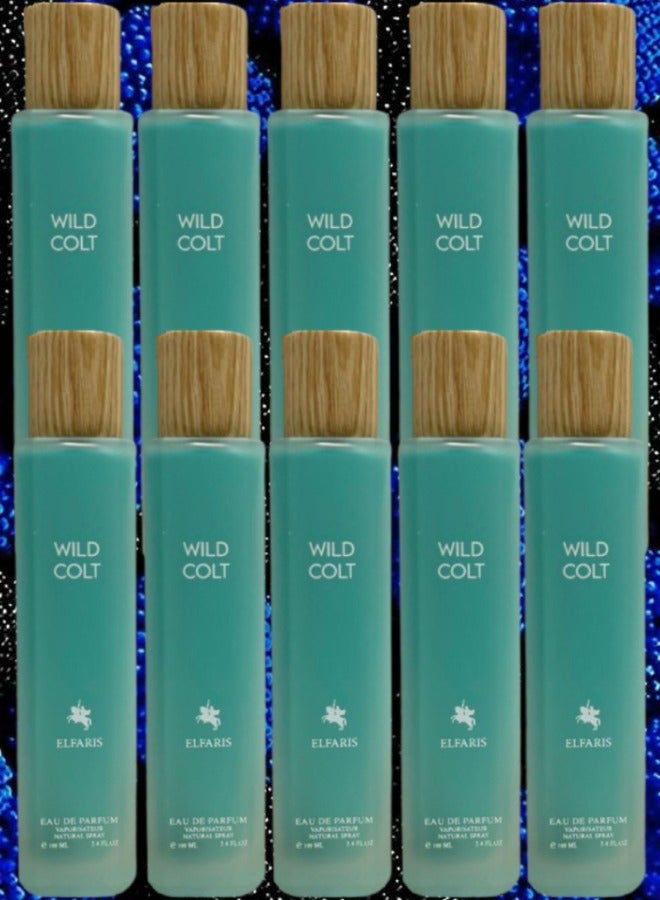 WILD 10 Pieces Wild Colt ElFaris EDP 100ML - Image 1