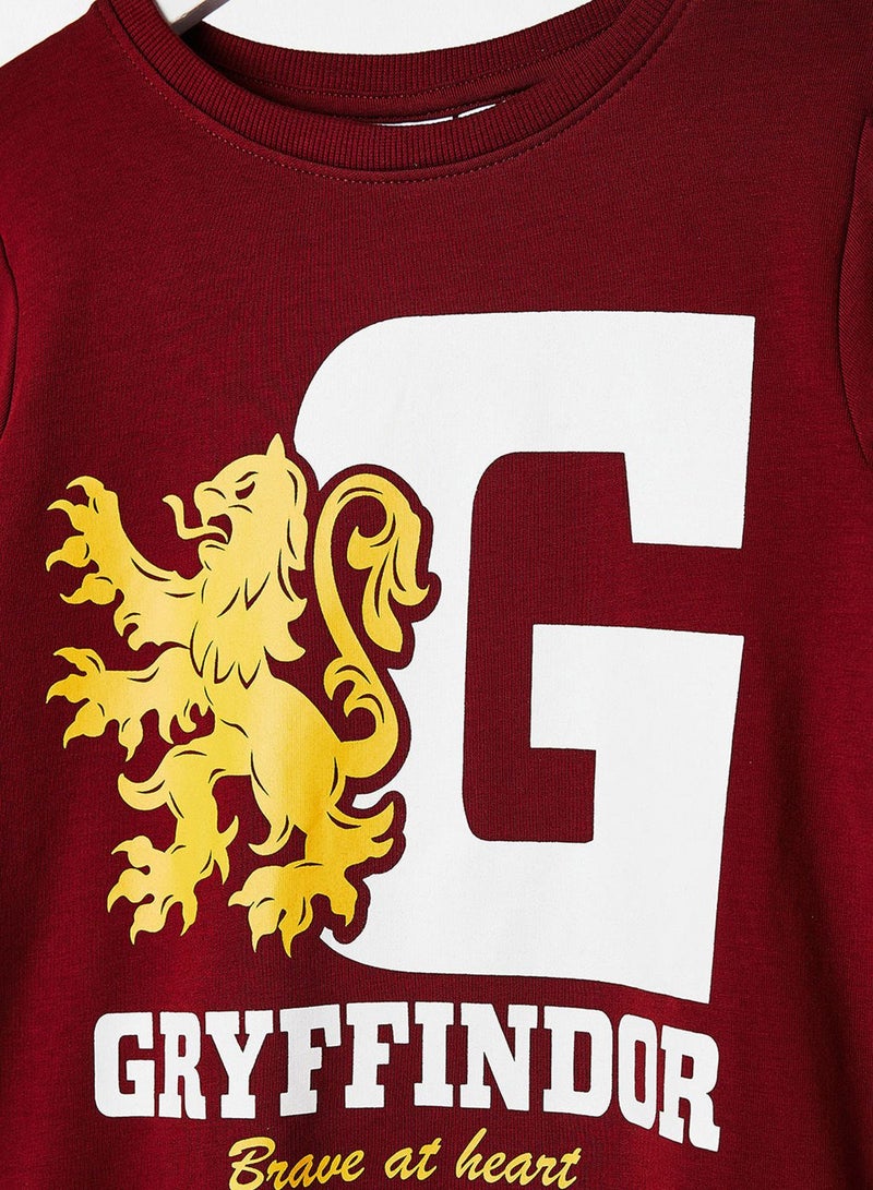 NAME IT Kids Gryffindor Sweatshirt - Image 3