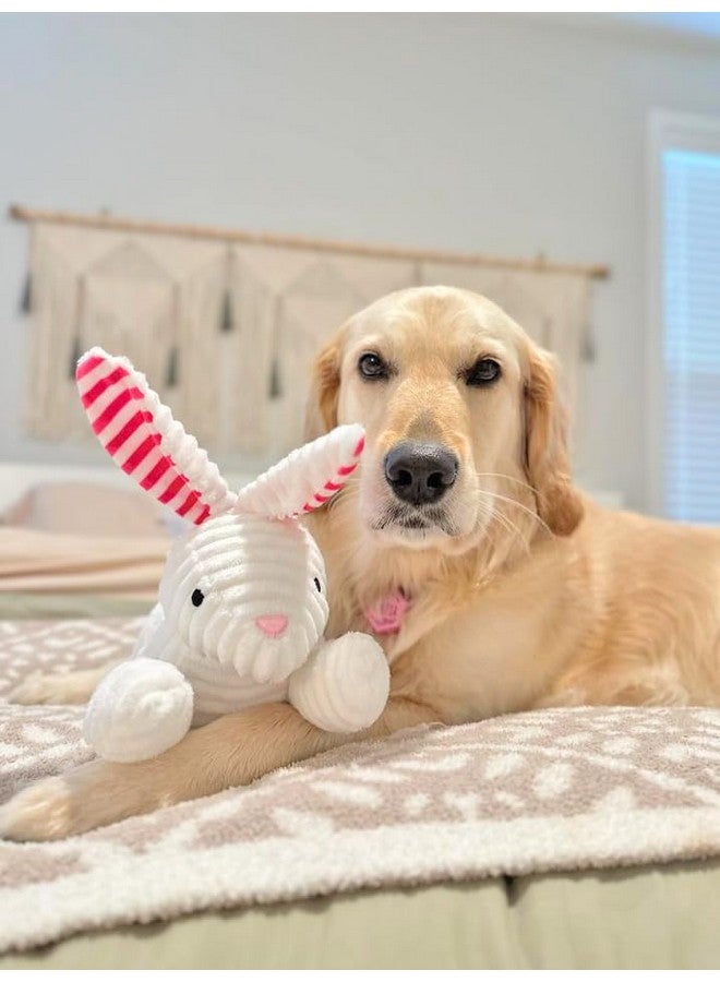Midlee Stripe Ears White Easter Rabbit Dog Toy - Image 5