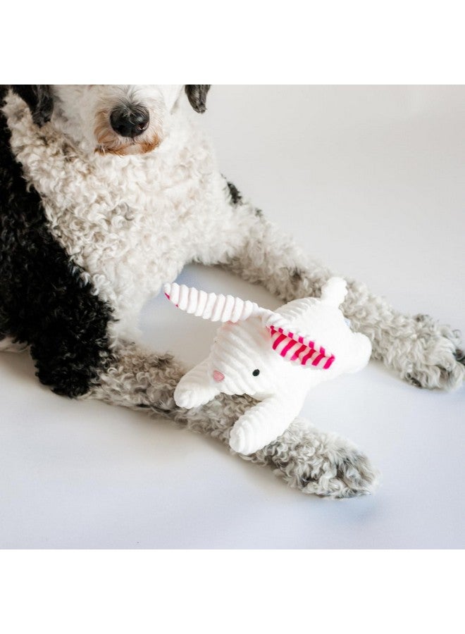 Midlee Stripe Ears White Easter Rabbit Dog Toy - Image 3
