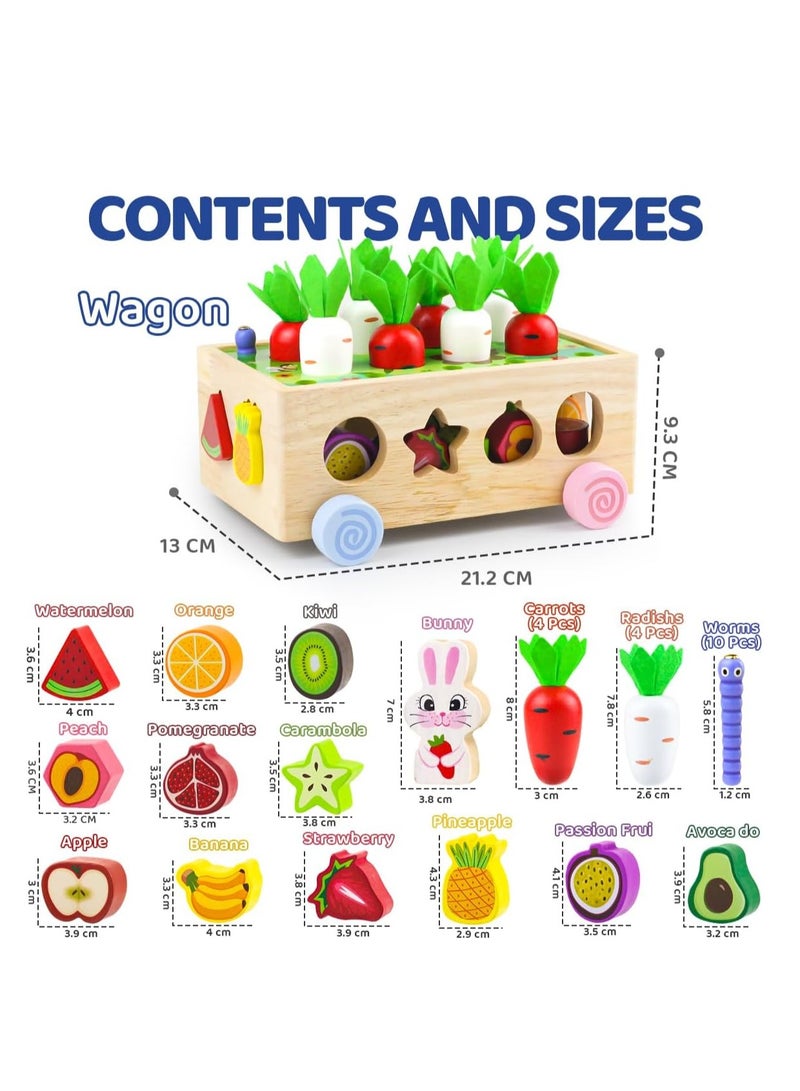 Montessori Wooden Educational Toys for Boys Girls, Shape Sorting Size Matching Toys Gifts for Kids, Wood Preschool Learning Fine Motor Skills Game - Image 5