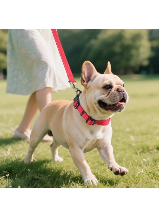 كيو تريبـل إيه طوق كلب عاكس مع حشوة ناعمة من النيوبرين وحلقة معدنية على شكل حرف D وطول قابل للتعديل، مصنوع من مادة النايلون الممتازة (اللون: أحمر) - Image 5