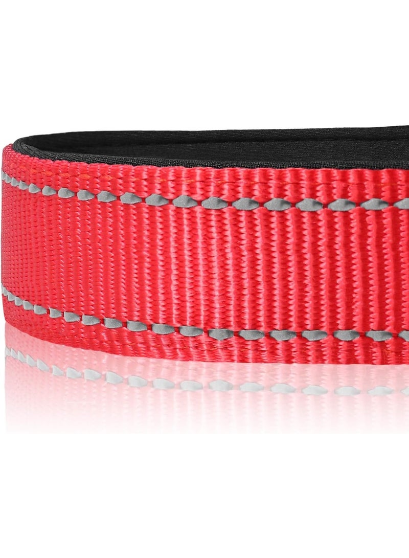 كيو تريبـل إيه طوق كلب عاكس مع حشوة ناعمة من النيوبرين وحلقة معدنية على شكل حرف D وطول قابل للتعديل، مصنوع من مادة النايلون الممتازة (اللون: أحمر) - Image 2