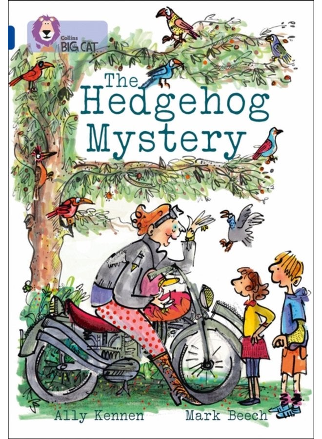 The Hedgehog Mystery Band 16 Sapphire - Paperback