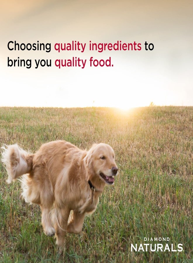 Diamond Naturals Small Breed Chicken and Rice Formula Adult Dry Dog Food with Protein from Real Chicken, Healthy Fats, Probiotics and Essential Nutrients for Small Breed Dogs 6lb - Image 4