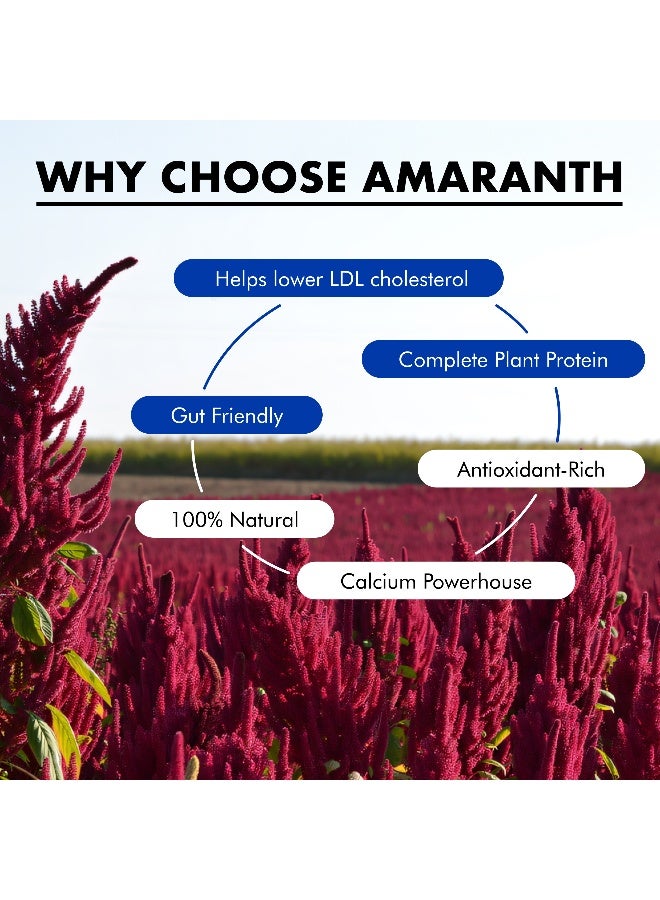 Amarancho بذور الأمارانث المنتفخة 180 جرام، غذاء خارق نباتي وخالي من الغلوتين، غني بالألياف والبروتين، حبة كاملة، غير معدلة وراثيًا، حلال - Image 3