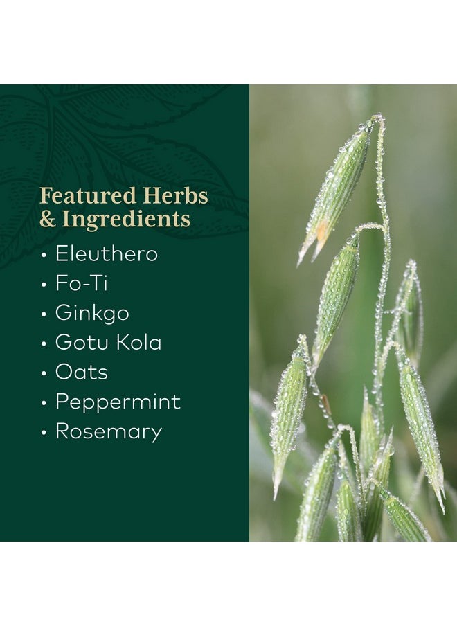 Gaia Herbs Gaia Pro Cognitive Formula Brain Boost  Blood Flow Supplement Provides Antioxidant Activity Support With Rosemary Organic Peppermint  Gotu Kola 60 Vegan Liquid Phytocapsules 30 Servings  - Image 4