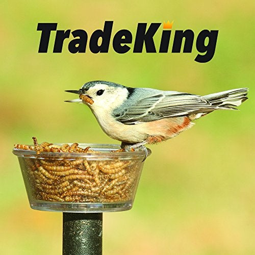 TradeKing 2 lb Dried Mealworms - High Protein Treat for Wild Birds, Chicken, Fish & Reptiles - Image 4