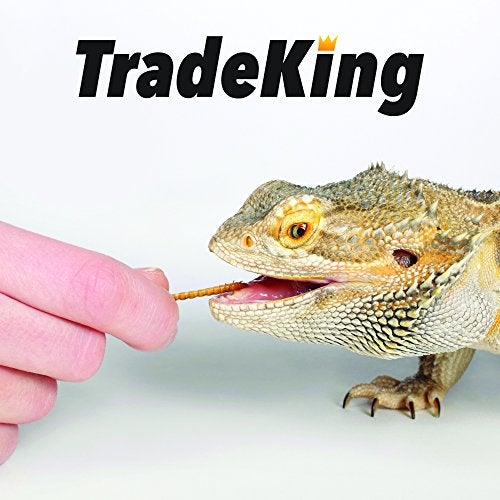 TradeKing 2 lb Dried Mealworms - High Protein Treat for Wild Birds, Chicken, Fish & Reptiles - Image 5