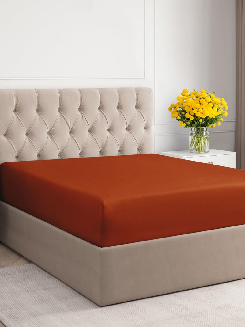 CGK Unlimited CGK Unlimited Twin XL Size Fitted Bed Sheet - Hotel Luxury - Fits Mattress Up to 16 - Extra Soft  Wrinkle Free  Breathable - Terracotta  - Image 1