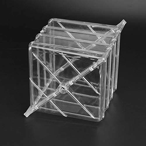 YOSOO Growing Fruit, Watermelon Pumpkin Shaping, Garden Fruit Growth Forming Tool () - Image 4