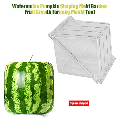 YOSOO Growing Fruit, Watermelon Pumpkin Shaping, Garden Fruit Growth Forming Tool () - Image 3