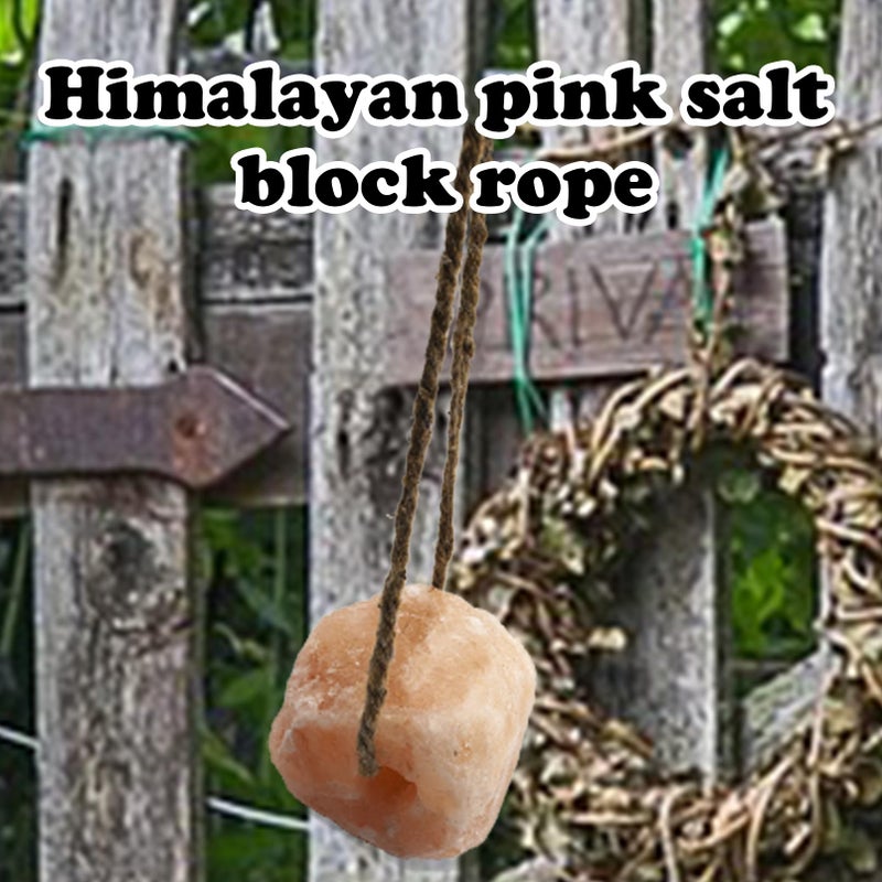 MUYG Himalayan Salt Lick Natural Minerals Block on Rope for Horses,Cattles,Deer,Goat and Other Livestock Long Lasting Original Pink Salt Lick (2.4-3.3 lbs) - Image 3